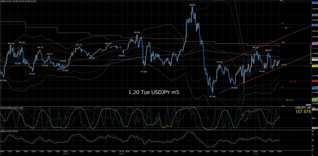 ドル円5分足チャート　火曜日　1月20日